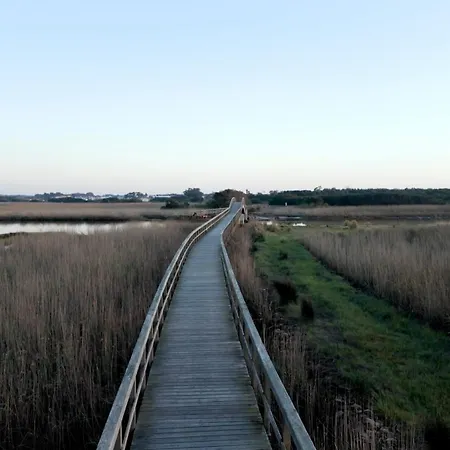 House With Pool And Garden In Near Porto *