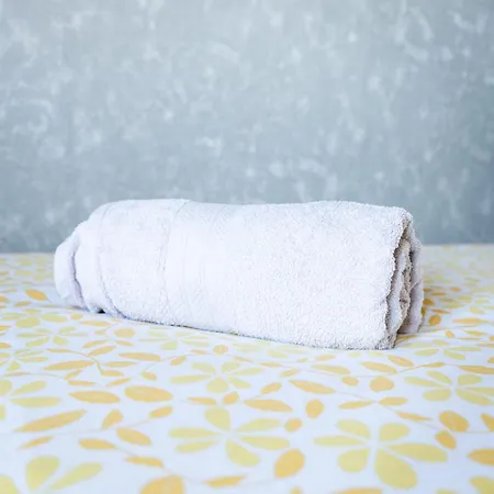 House With Pool And Garden In Near Porto Esmoriz