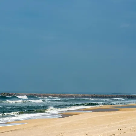 Dom wakacyjny House With Pool And Garden In Near Porto Esmoriz