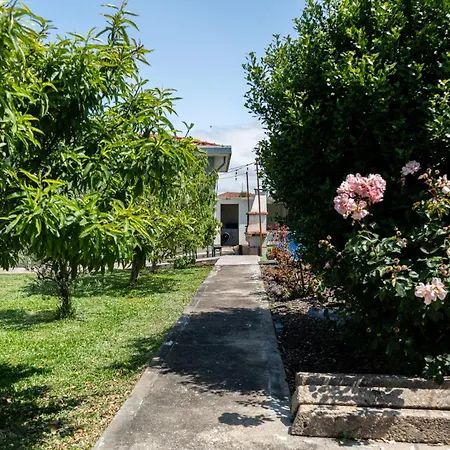 House With Pool And Garden In Near Porto Feriehus