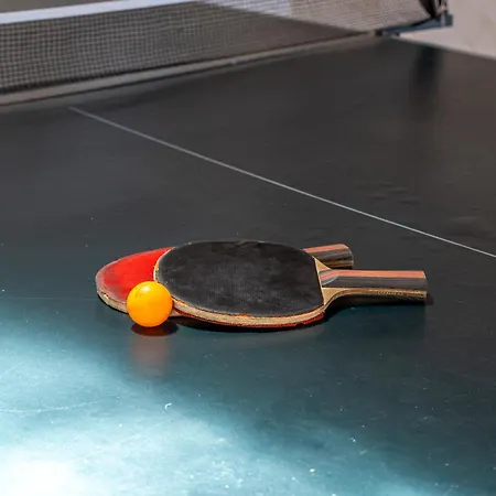 House With Pool And Garden In Near Porto Dom wakacyjny Esmoriz