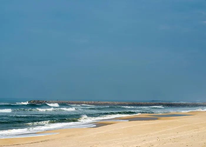 Vakantiehuis House With Pool And Garden In Near Porto Esmoriz