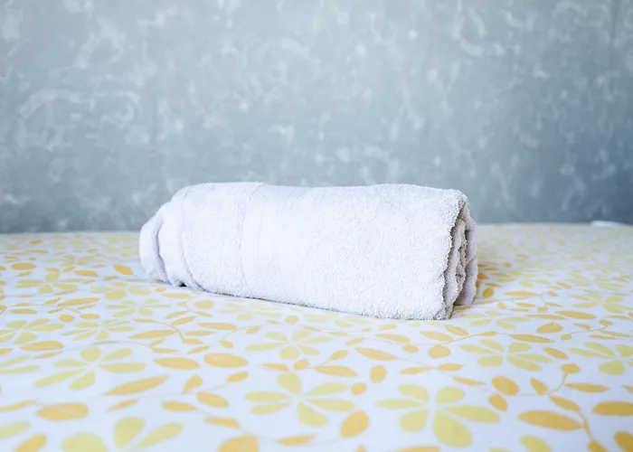 House With Pool And Garden In Near Porto Esmoriz