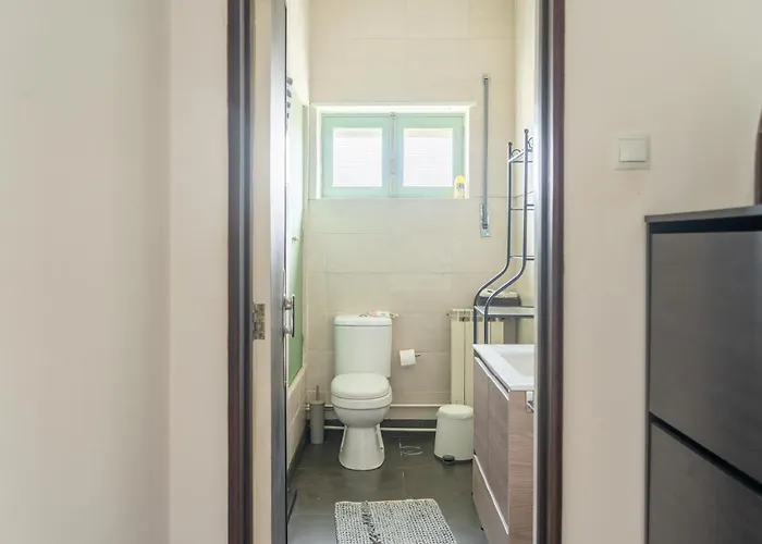 House With Pool And Garden In Near Porto Esmoriz